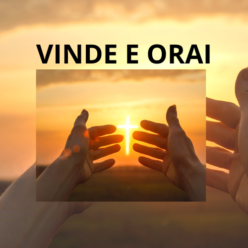 vindeeorai.com.br